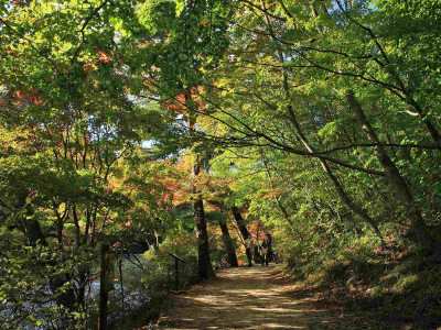 

Posterhouzz Autumn Fine Art Print Poster Fine Art Print(12 inch X 18 inch, Rolled)