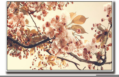 

Posterhouzz Beautiful Pink flowers Fine Art Print(12 inch X 18 inch, Rolled)
