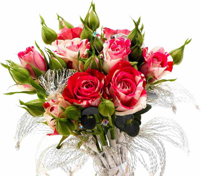 

Posterhouzz Flower Fine Art Print Poster Fine Art Print(12 inch X 18 inch, Rolled)