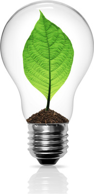 

Save Electricity Photographic Paper(19 inch X 13 inch, Rolled)