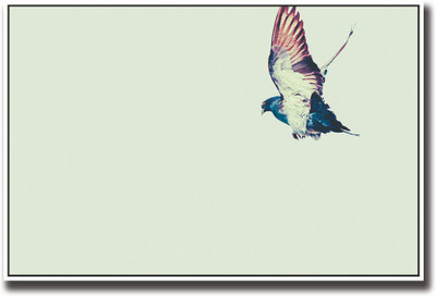 

Colourful bird flying Fine Art Print(12 inch X 18 inch, Rolled)