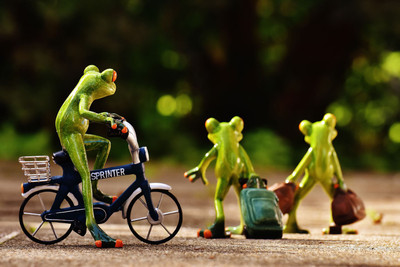 

poster of frog in cycle Fine Art Print(12 inch X 18 inch, Rolled)