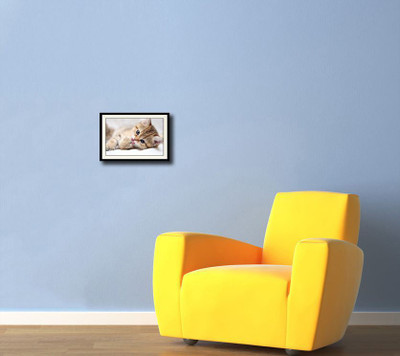 

Cute Cat AFP0491 Fine Art Print(10 inch X 14 inch, Framed)