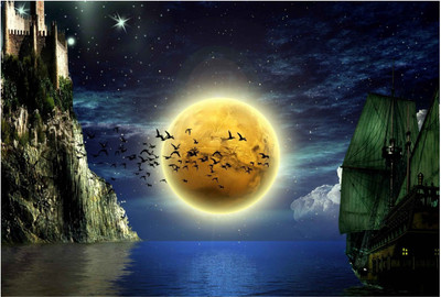 

Moon Wallpaper Paper Print(13 inch X 19 inch, Rolled)