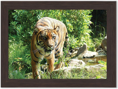 

Tiger Nature Themed Framed Poster Photographic Paper(13.5 inch X 10 inch, Box Packing)