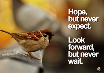 

Bheja Fry Poster Hope but never expect (29.7 cm x 42 cm) Paper Print(11.69 inch X 16.53 inch, Rolled)