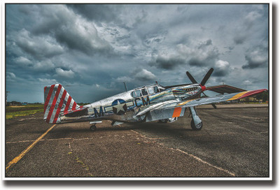 

Vintage Airplane Fine Art Print(12 inch X 18 inch, Rolled)