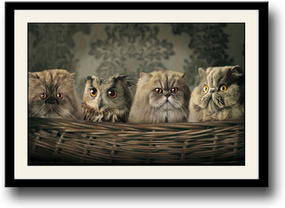 Cat and Owls in basket Fine Art Print(10 inch X 14 inch, Framed)