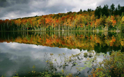 

Posterhouzz Autumn Fine Art Print Poster Fine Art Print(12 inch X 18 inch, Rolled)
