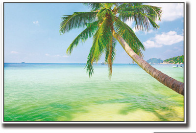 

Posterhouzz Coconut tree on beach Fine Art Print(12 inch X 18 inch, Rolled)
