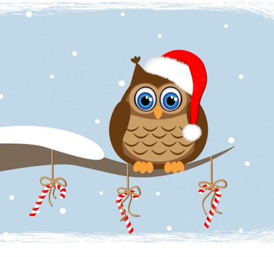 

Tallenge Christmas Collection - Christmas Owl - Framed Photo Print For Gifting And Home And Office Décor On Photographic Paper(12 inch X 12 inch, Framed)