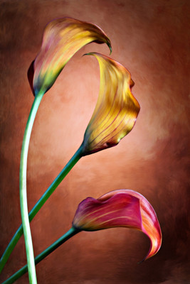 Floral Painting Canvas Art(48 inch X 32 inch)