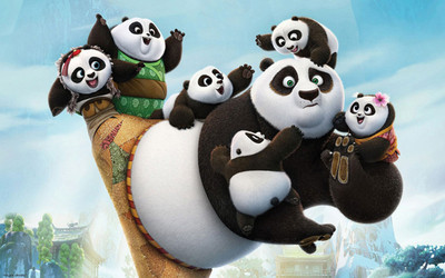 

Royalpixels Kung Fu Panda rocks Photographic Paper(13 inch X 19 inch)