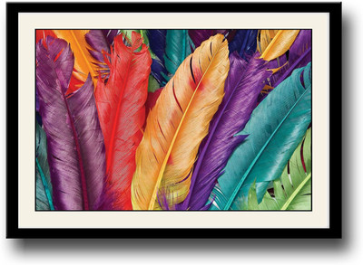 

Colored Feathers Fine Art Print(10 inch X 14 inch, Framed)