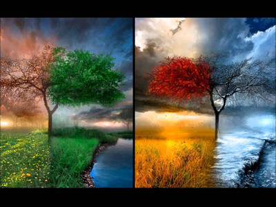 

Posterhouzz- Vibrant Nature Poster Fine Art Print(12 inch X 18 inch, Rolled)