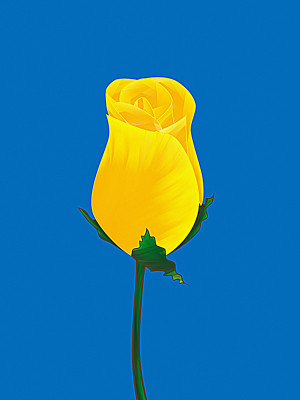 50% OFF on Rose Bud Canvas Art(26 inch X 20 inch) 50% OFF on Rose Bud Canvas Art(26 inch X 20 inch)
