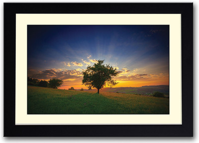 

Tree in Green Landscape AFP0337 Fine Art Print(14 inch X 20 inch, Framed)