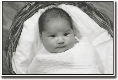 

Baby looking b&w Fine Art Print(12 inch X 18 inch, Rolled)