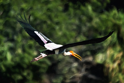 50% OFF on In Flight Paper Print(23 inch X 36 inch) 50% OFF on In Flight Paper Print(23 inch X 36 inch)
