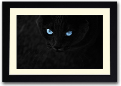 

Black Cat With Blue Eyes Fine Art Print(14 inch X 20 inch, Framed)