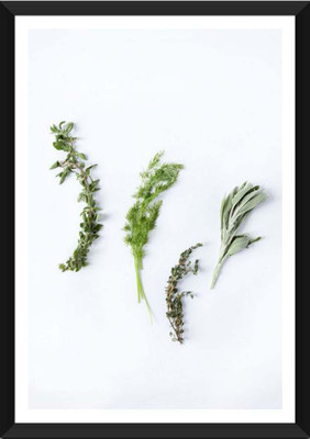 

Art For Kitchen - Beautiful Herbs - Framed Art Print On Photographic Paper(16 inch X 24 inch)