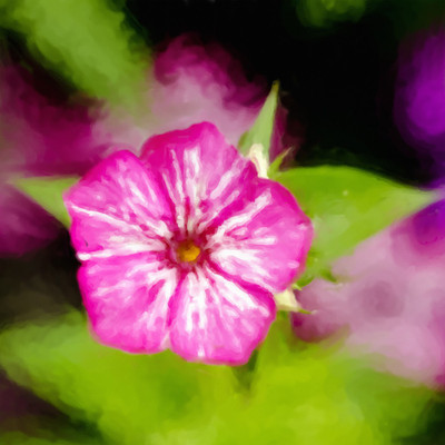 50% OFF on Colourful Flowers 102 Canvas Art(40 inch X 40 inch)