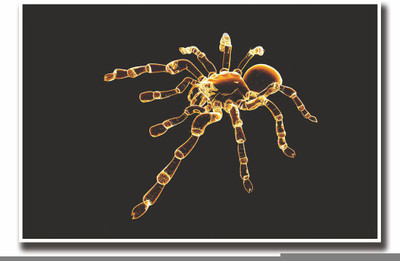 Posterhouzz Spider Fine Art Print(12 inch X 18 inch, Rolled)