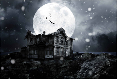 

Dark Evil Horror House Paper Print(13 inch X 19 inch, Rolled)