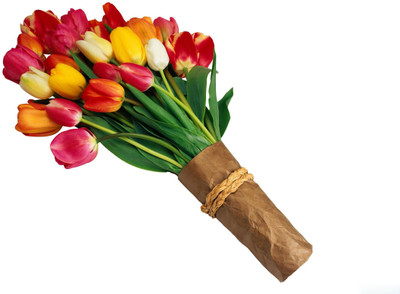 

Posterhouzz Flower Fine Art Print Poster Fine Art Print(12 inch X 18 inch, Rolled)