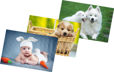 

Pack Of Three Popular Posters Paper Print(12 inch X 18 inch, Streched)