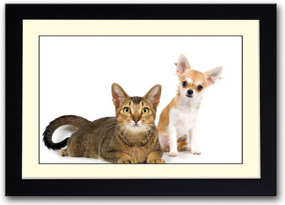 

Dog and cat Fine Art Print(14 inch X 20 inch, Framed)