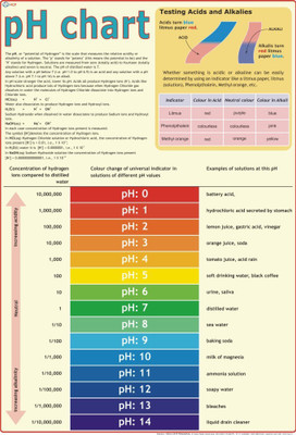 8% OFF on Chemistry Laboratory : PH Poster Paper Print(40 inch X 28 inch, Rolled) 8% OFF on Chemistry Laboratory : PH Poster Paper Print(40 inch X 28 inch, Rolled)