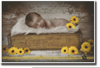 

Posterhouzz Cute baby in coke crate Fine Art Print(12 inch X 18 inch, Rolled)