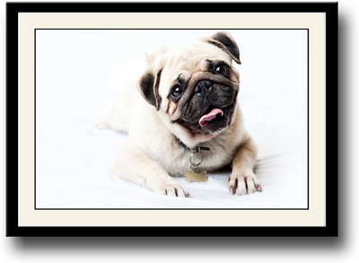 

Pug Dog Fine Art Print(10 inch X 14 inch, Framed)
