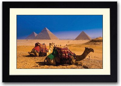 

Camels In Egypt Fine Art Print(14 inch X 20 inch, Framed)