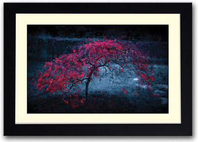 

Beautiful flowers in the dark Fine Art Print(14 inch X 20 inch, Framed)