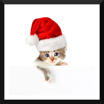 

Tallenge - Christmas Art - Adorable Cat - Small Size Ready To Hang Framed Digital Art Print On Photographic Paper(12 inch X 12 inch, Framed)