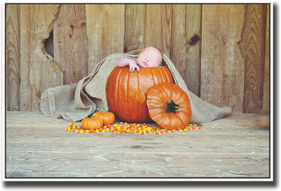 

Newborn baby inside pumpkin Fine Art Print(12 inch X 18 inch, Rolled)
