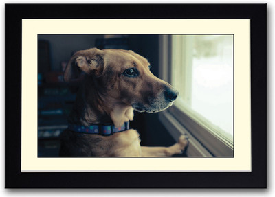 

Dog Looking Out the Window Fine Art Print(14 inch X 20 inch, Framed)