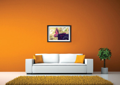 Butterfly On Camera Fine Art Print(14 inch X 20 inch, Framed)