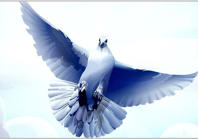 

Posterhouzz Pigeon Paper Print(12 inch X 18 inch, Rolled)