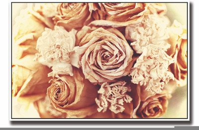 

Posterhouzz Brown roses vintage Fine Art Print(12 inch X 18 inch, Rolled)