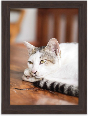 Talking Cats Nature Themed Framed Poster Photographic Paper(13.5 inch X 10 inch, Box Packing)