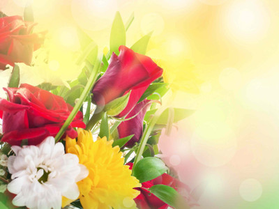 

Posterhouzz Flower Fine Art Print Poster Fine Art Print(12 inch X 18 inch, Rolled)