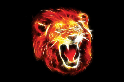 

LION FACE 12X18 INCHES Fine Art Print(12 inch X 18 inch)