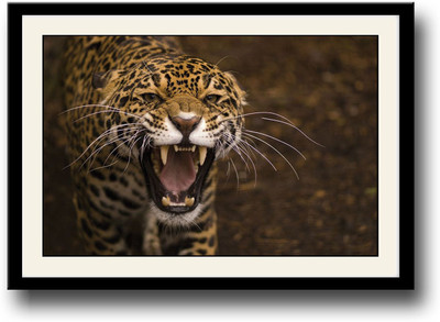 

Jaguar Wild Cat Fine Art Print(10 inch X 14 inch, Framed)