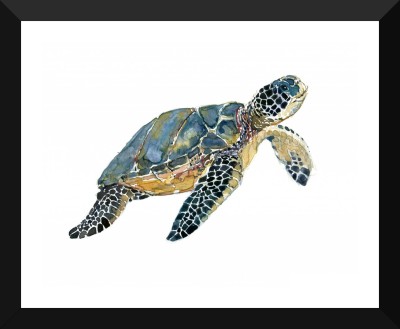 

Tallenge Art For Kids - Swimming Sea Turtle - Premium Quality A3 Size Framed Poster Paper Print(17 inch X 12 inch, Framed)