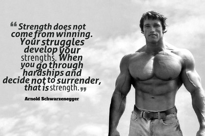 

Oshi - Arnold Schwarzenegger Motivational Quote (3) Paper Print(12 inch X 18 inch, Stretched)