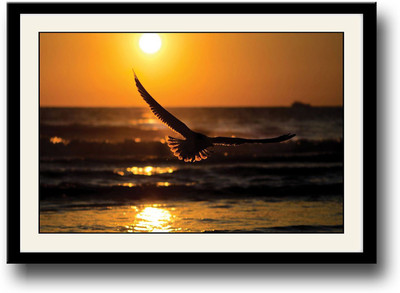 

Eagle sunset Fine Art Print(10 inch X 14 inch, Framed)