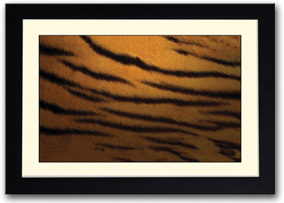 Tiger Skin Design Fine Art Print(14 inch X 20 inch, Framed)